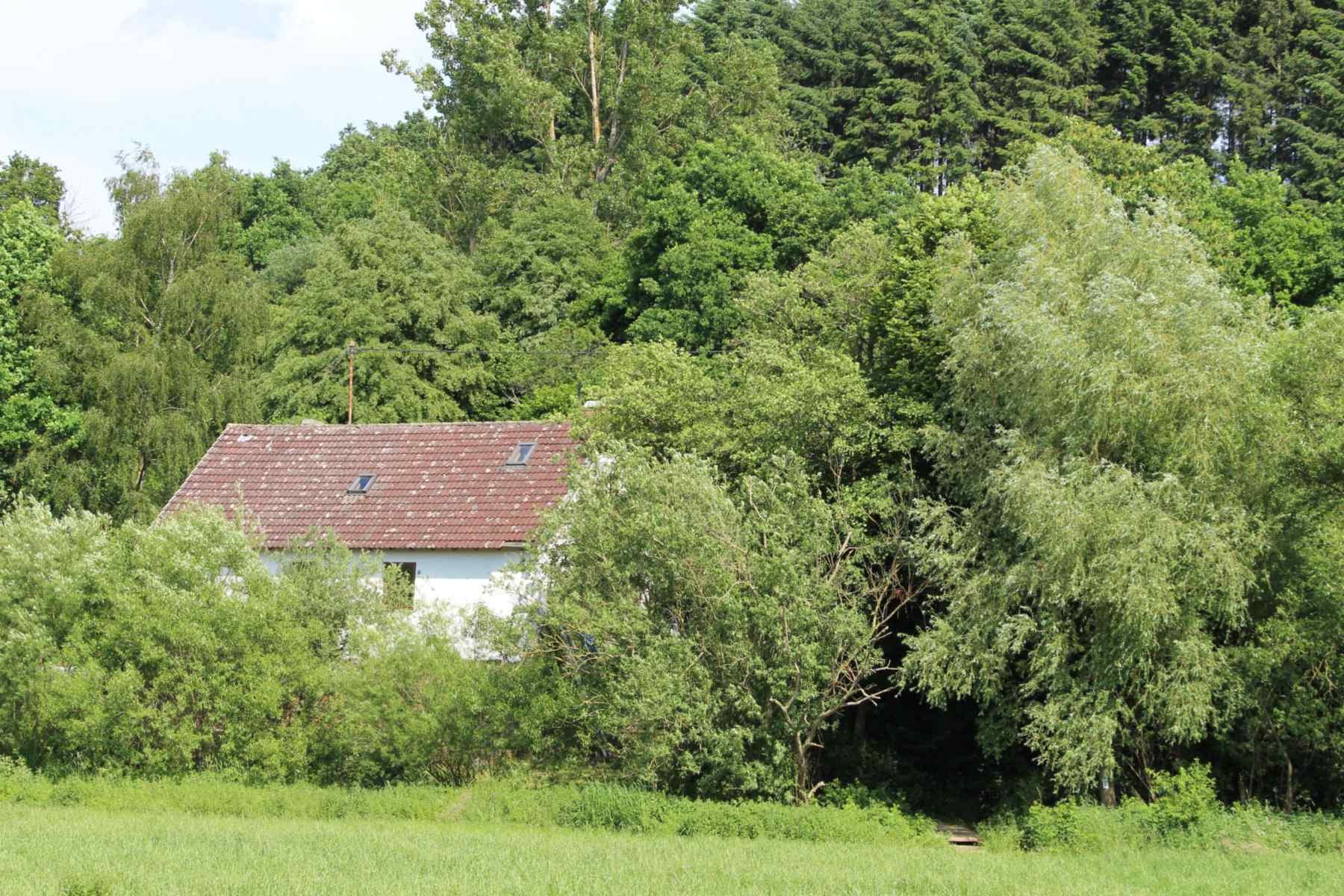 Dach von der Wiese trefflich getroffen.