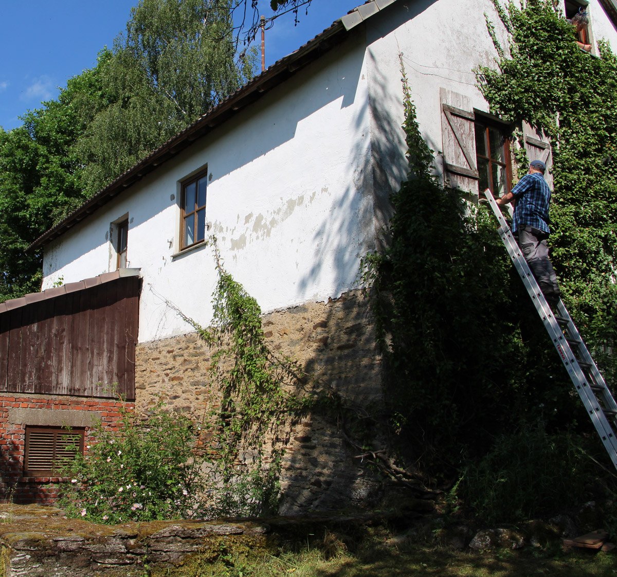 … die Fenster und das Dach dürfen nicht zuwuchern.